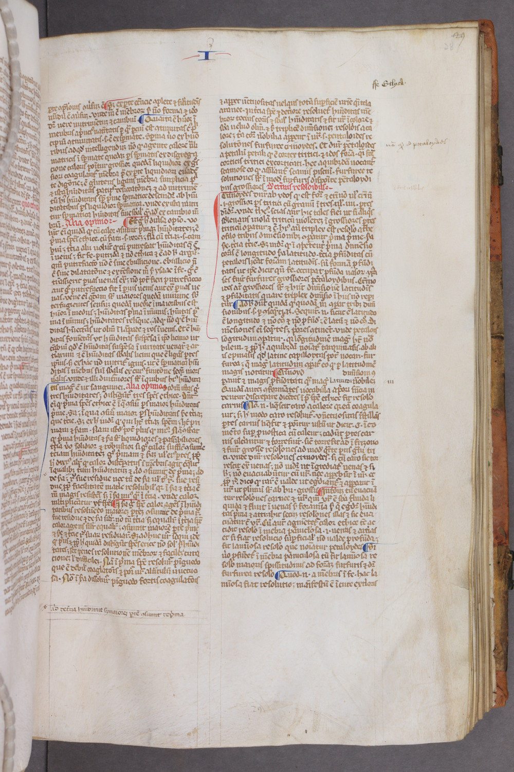 Folio 28 recto